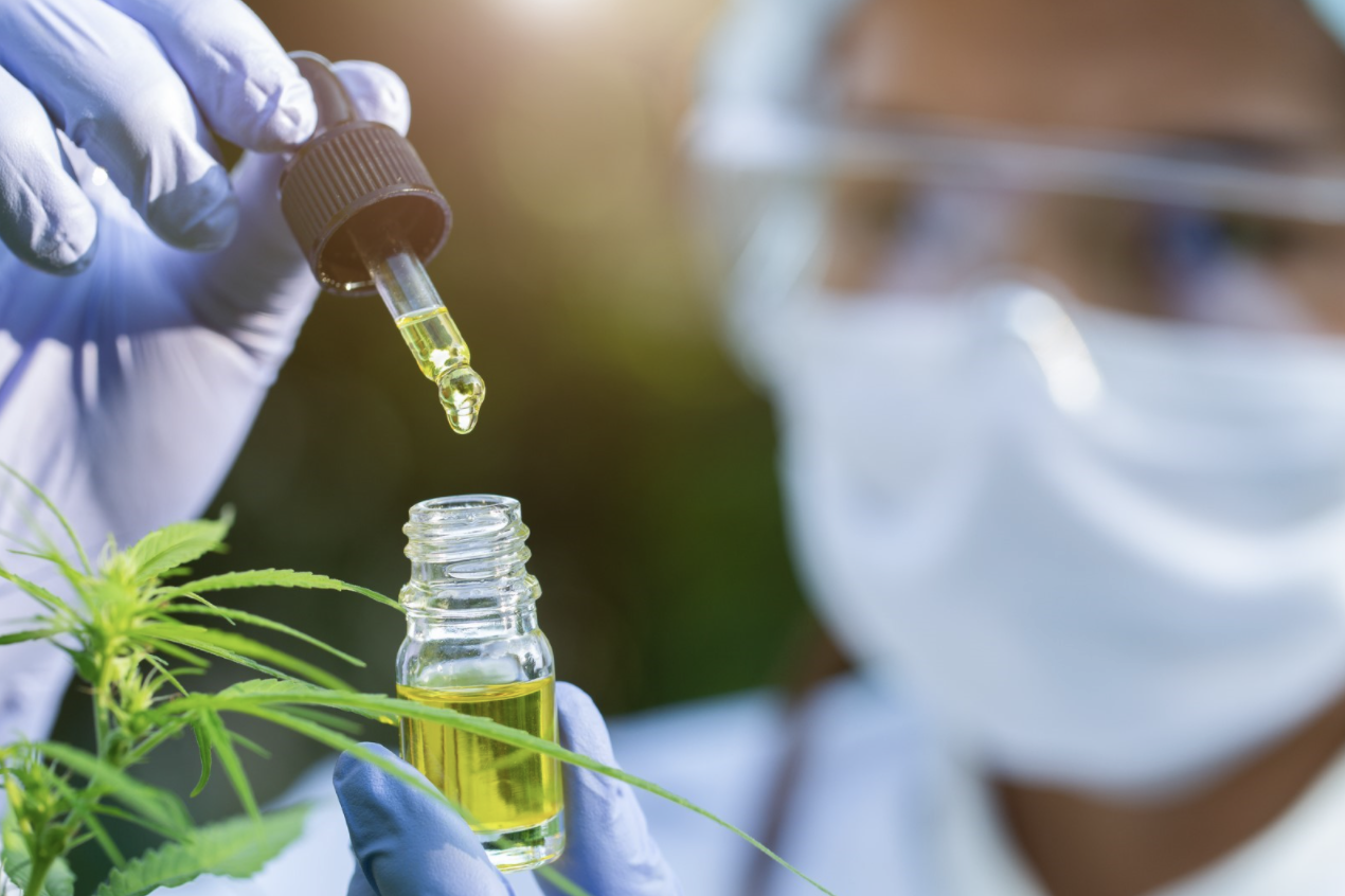 Die Wirkung von CBD: Wissenschaftliche Erkenntnisse machen Hoffnung  