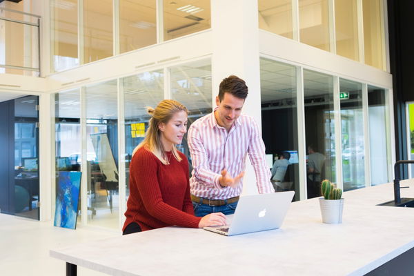 Career planning: strategies for a successful professional future