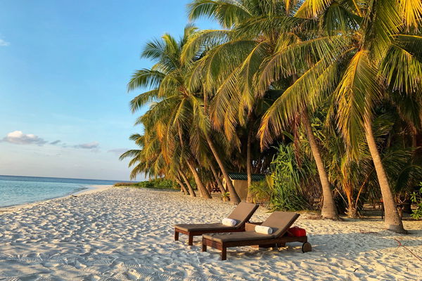 Attention aux maladies tropicales en vacances