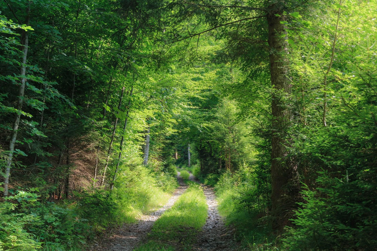 Recreation in Eschenlohe: where nature recharges the batteries