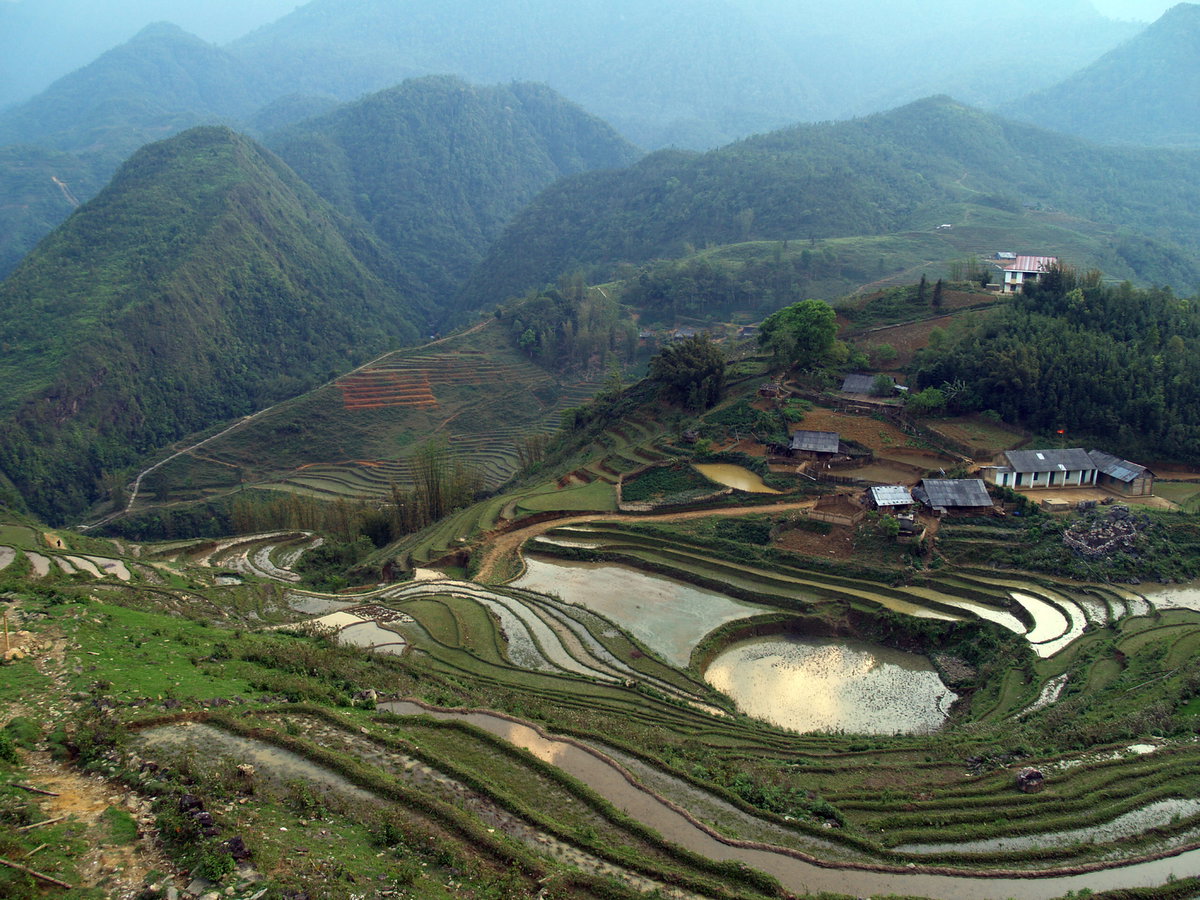 Riesige Reisfeld-Terrassen prägen das Hochland in Nordvietnam