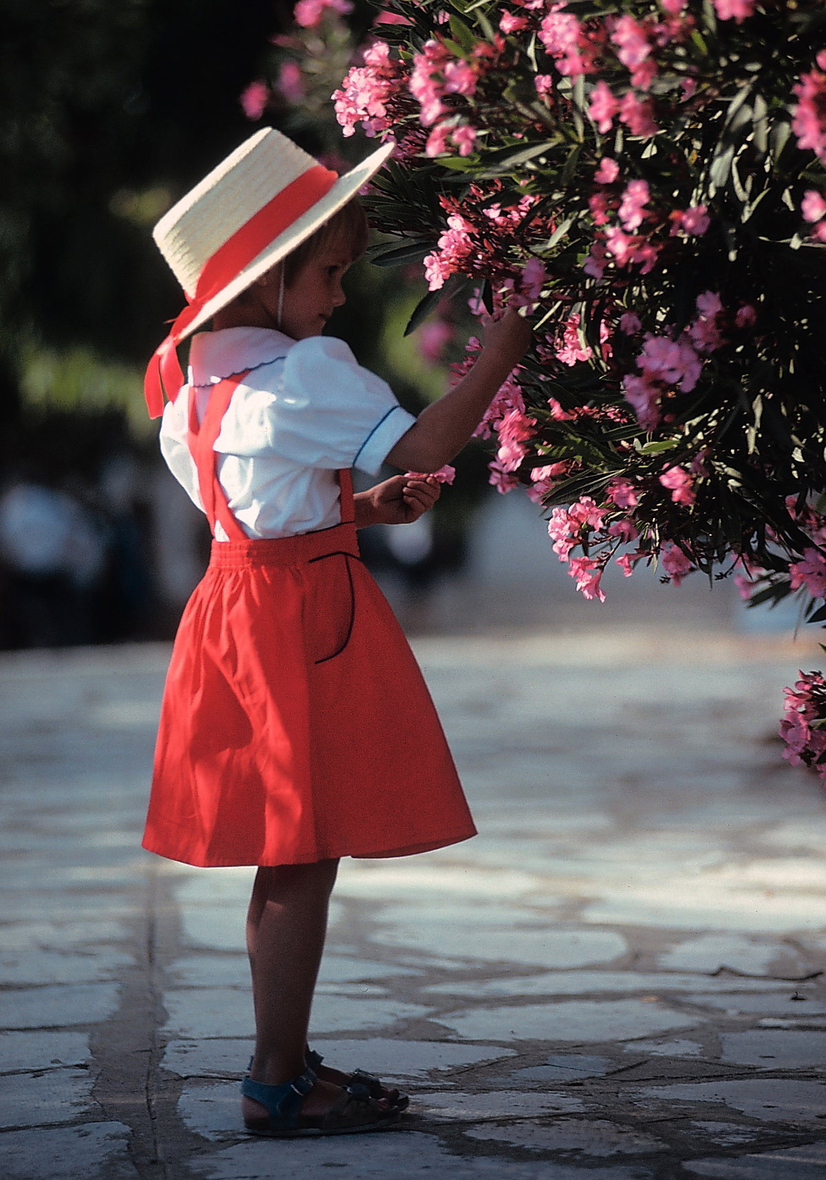 Kinder müssen vor Giftpflanzen wie dem Oleander (Foto) unbedingt geschützt werden