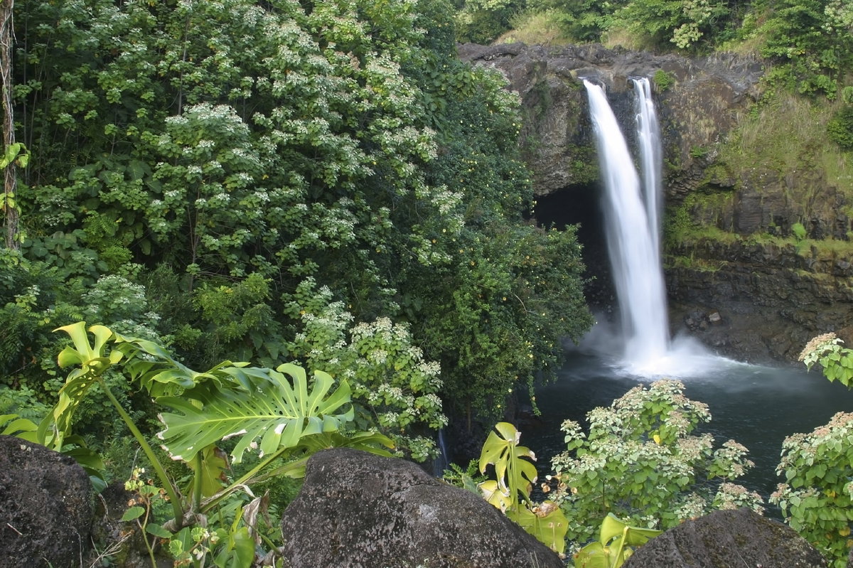 Tropischer Regenwald und märchenhafte Wasserfälle – Hawaii hat landschaftlich viel zu bieten