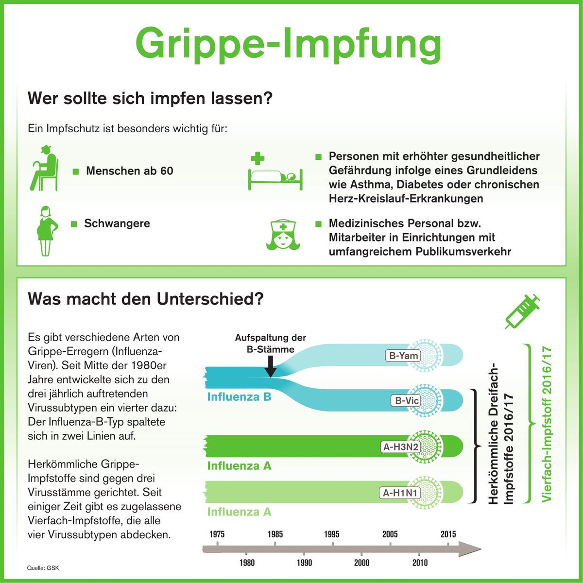 Die Grafik zeigt die am meisten durch die Grippe betroffene Personengruppe und welche Grippe-Erreger es gibt