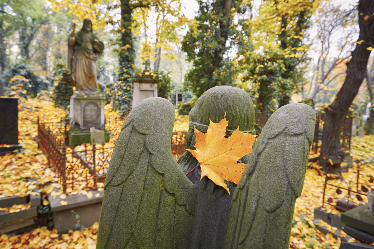 Bei der Wahl einer Grabstätte unterstützt Sie meist die Friedhofsverwaltung