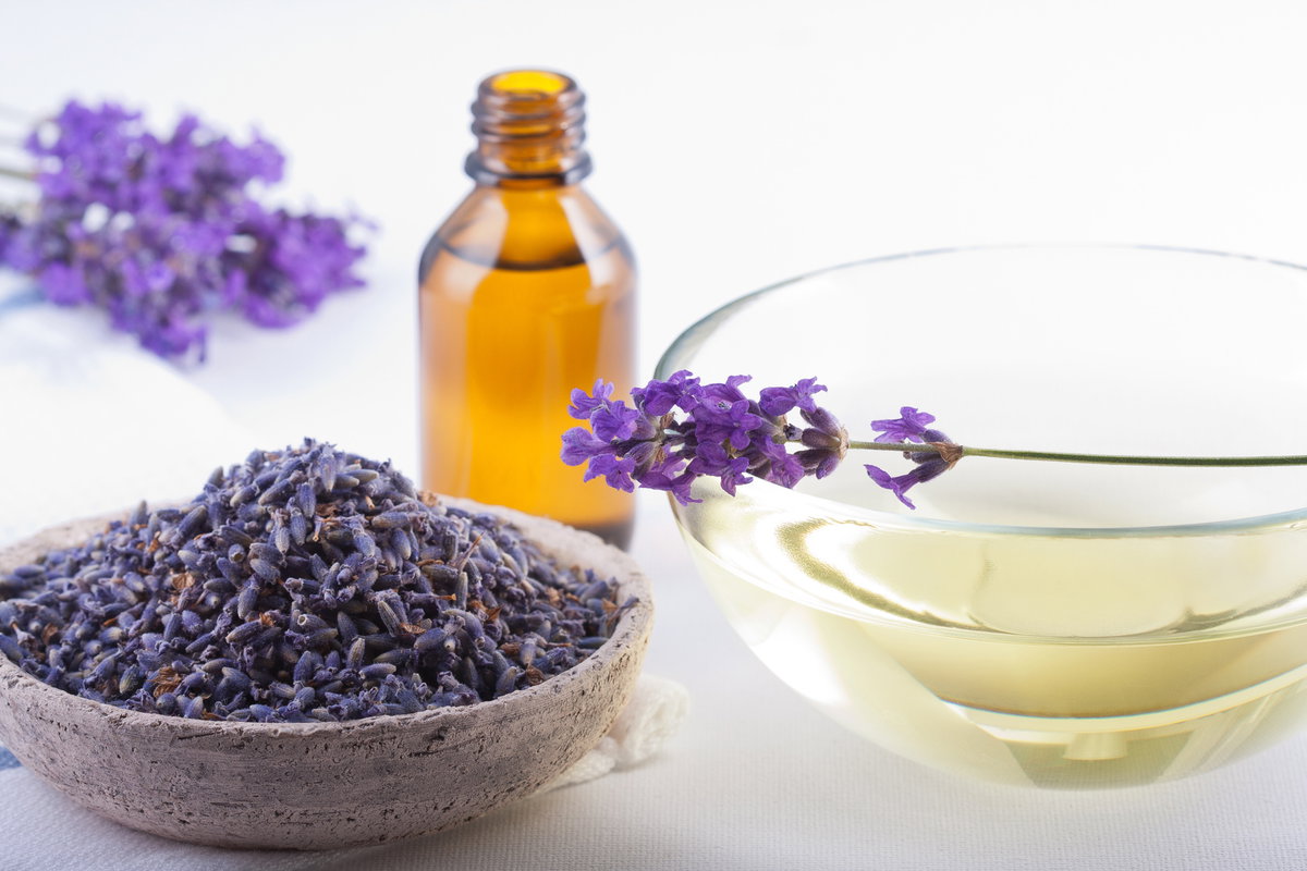 Lavendel ist ein wunderbares Kraut! Es hilft auch gegen Stress und Schlaflosigkeit