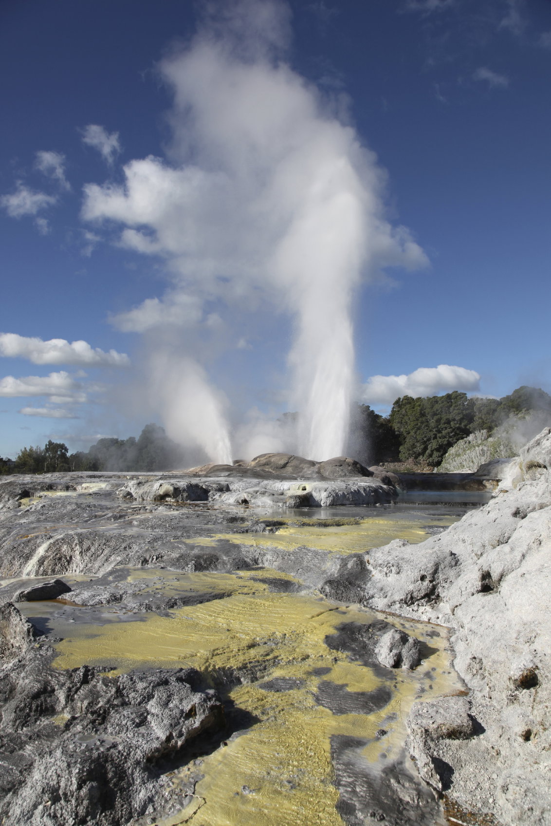 Geysire in Neuseeland sind nur eines von vielen Naturschauspielen des Landes
