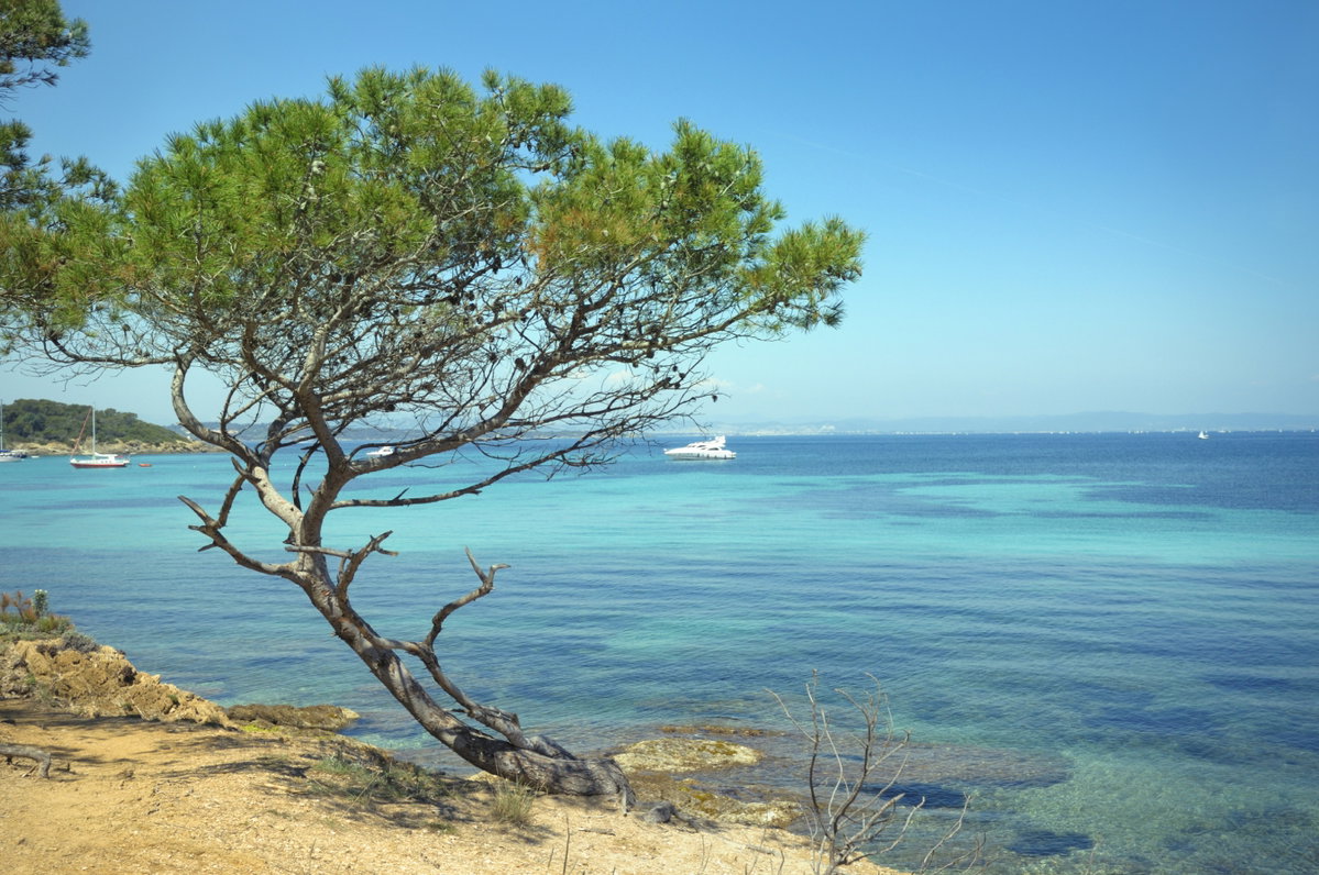 Die Cote d´Azur ist auch für Normalurlauber ein bestechendes und bezahlbares Reiseziel