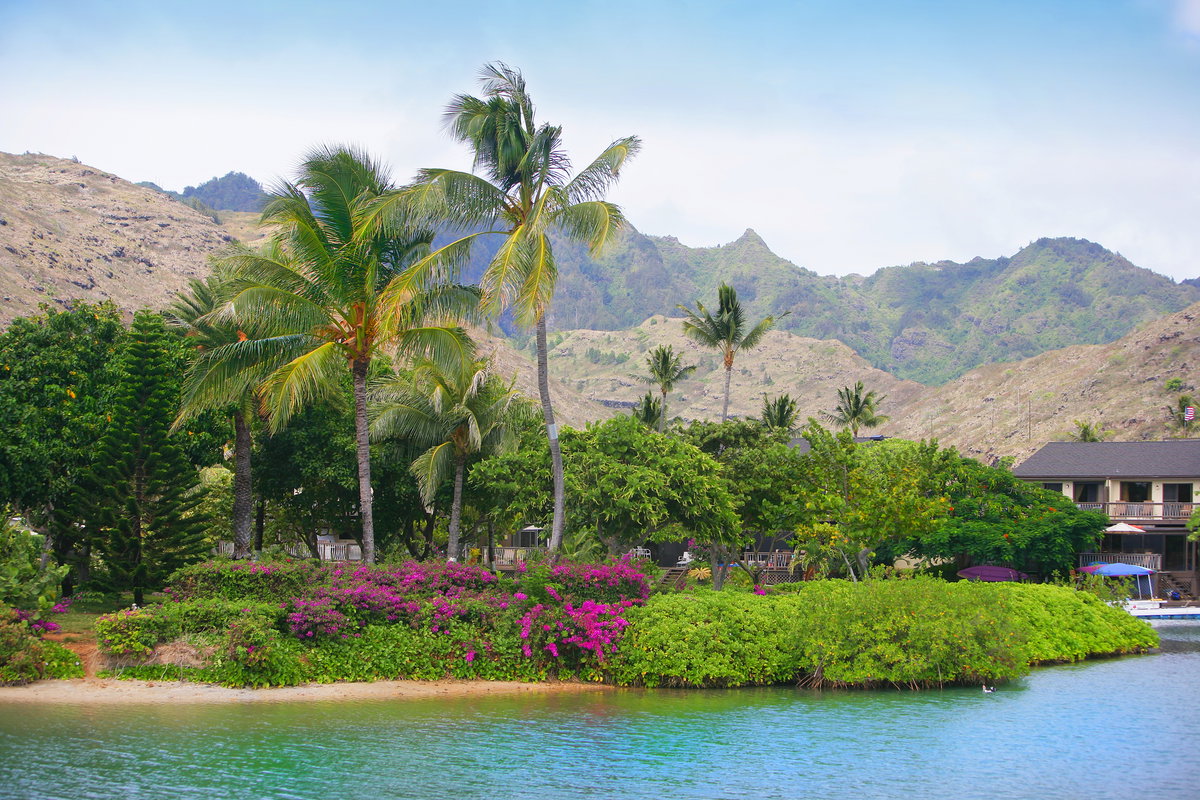 Vor allem an den Küsten Hawaiis breitet sich üppige Natur aus