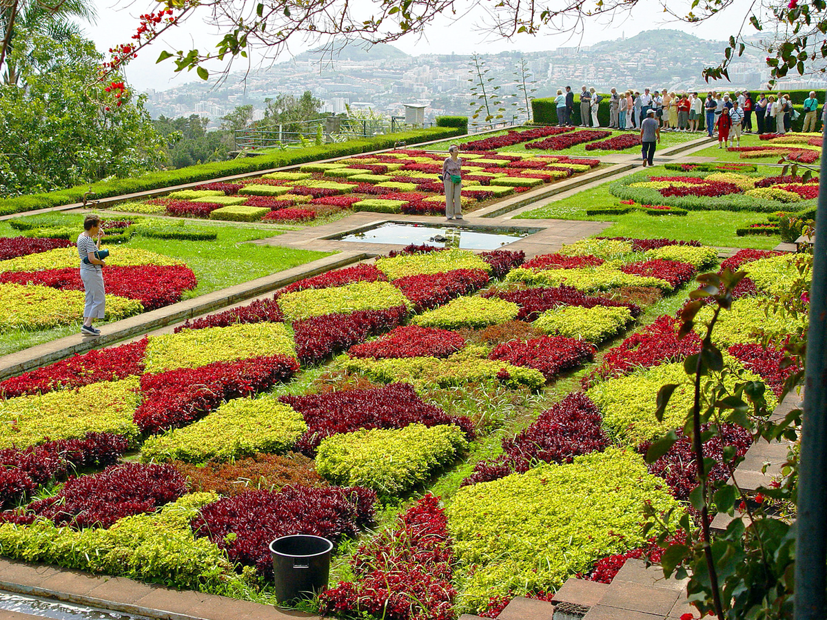Blütenpracht: Im botanischen Garten blühen Azaleen, Amaryllis, Strelitzien und weitere unzählige Blüten.