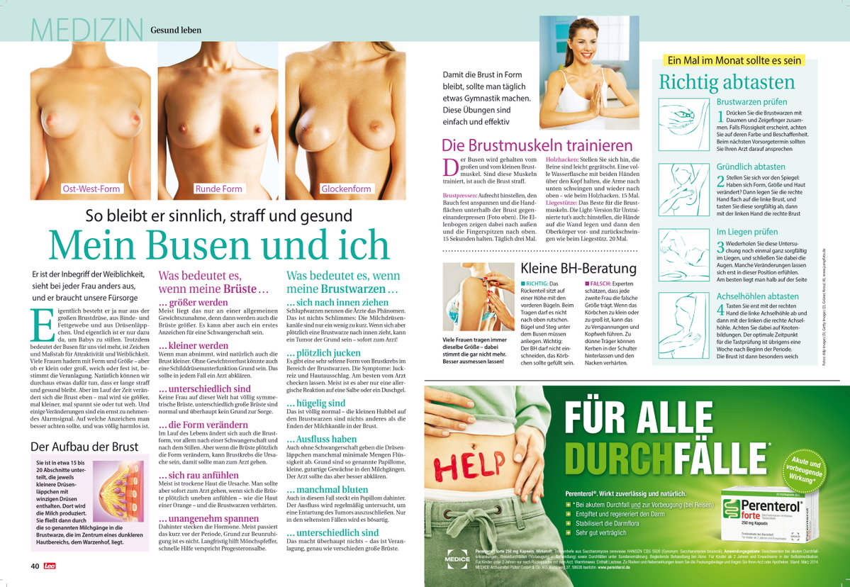 Darin lesen Sie alles zum Thema Busen