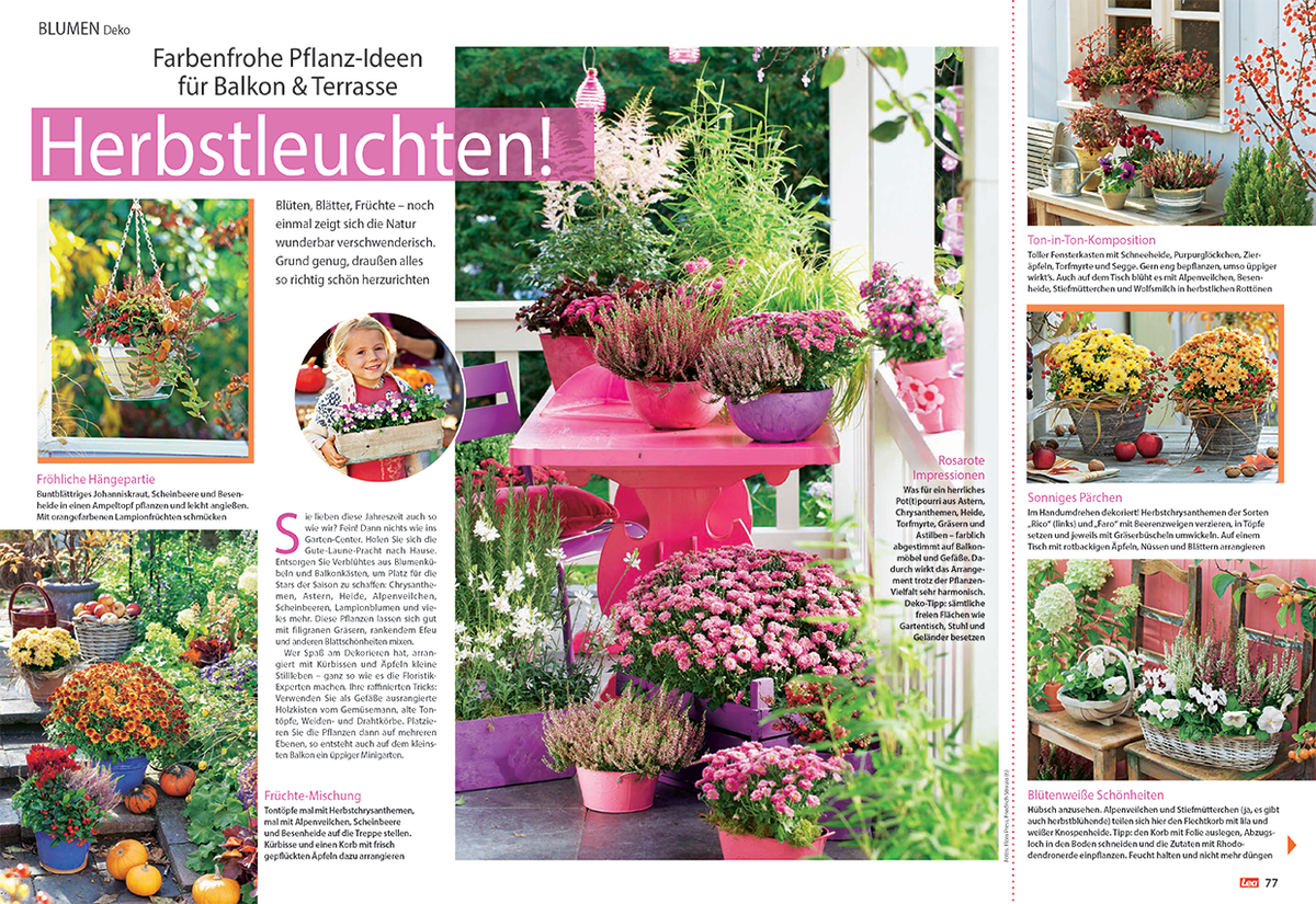 Farbenfrohe Pflanz-Ideen für Balkon und Terrasse im Herbst