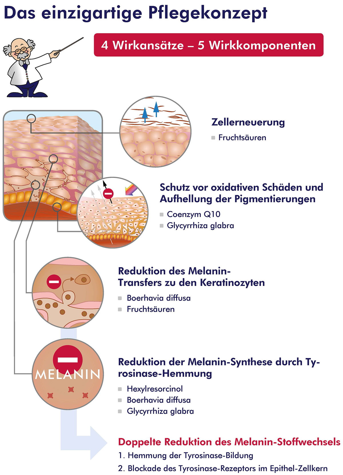 So funktioniert das Pflege-Konzept für die Reduktion des Melanin-Stoffwechsels