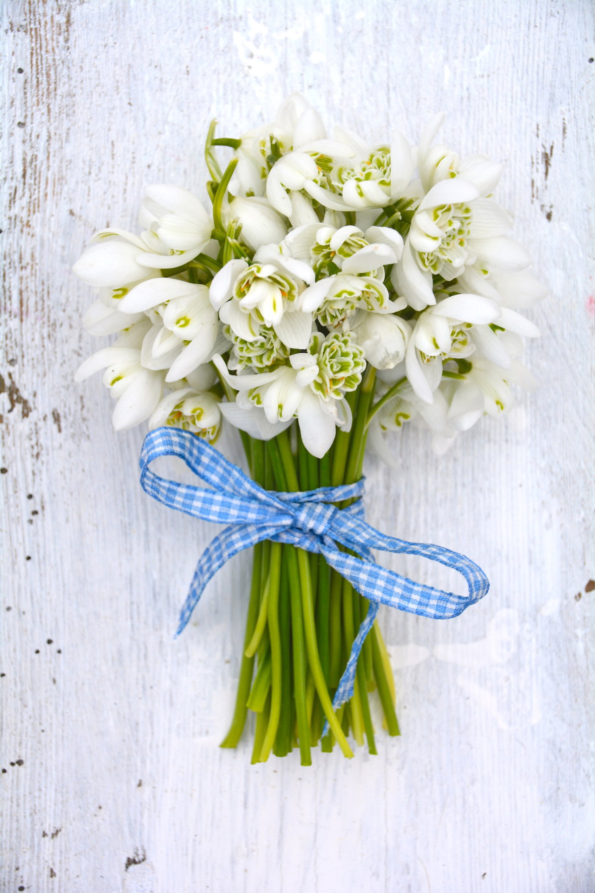 Schön gebundener Strauß weißer Blumen