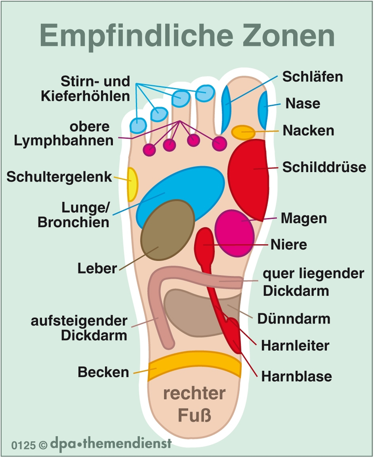 Man kann die Füße auch selbst massieren. Im Fachhandel gibt es Socken, auf denen die Fußreflexzonen aufgedruckt sind.
