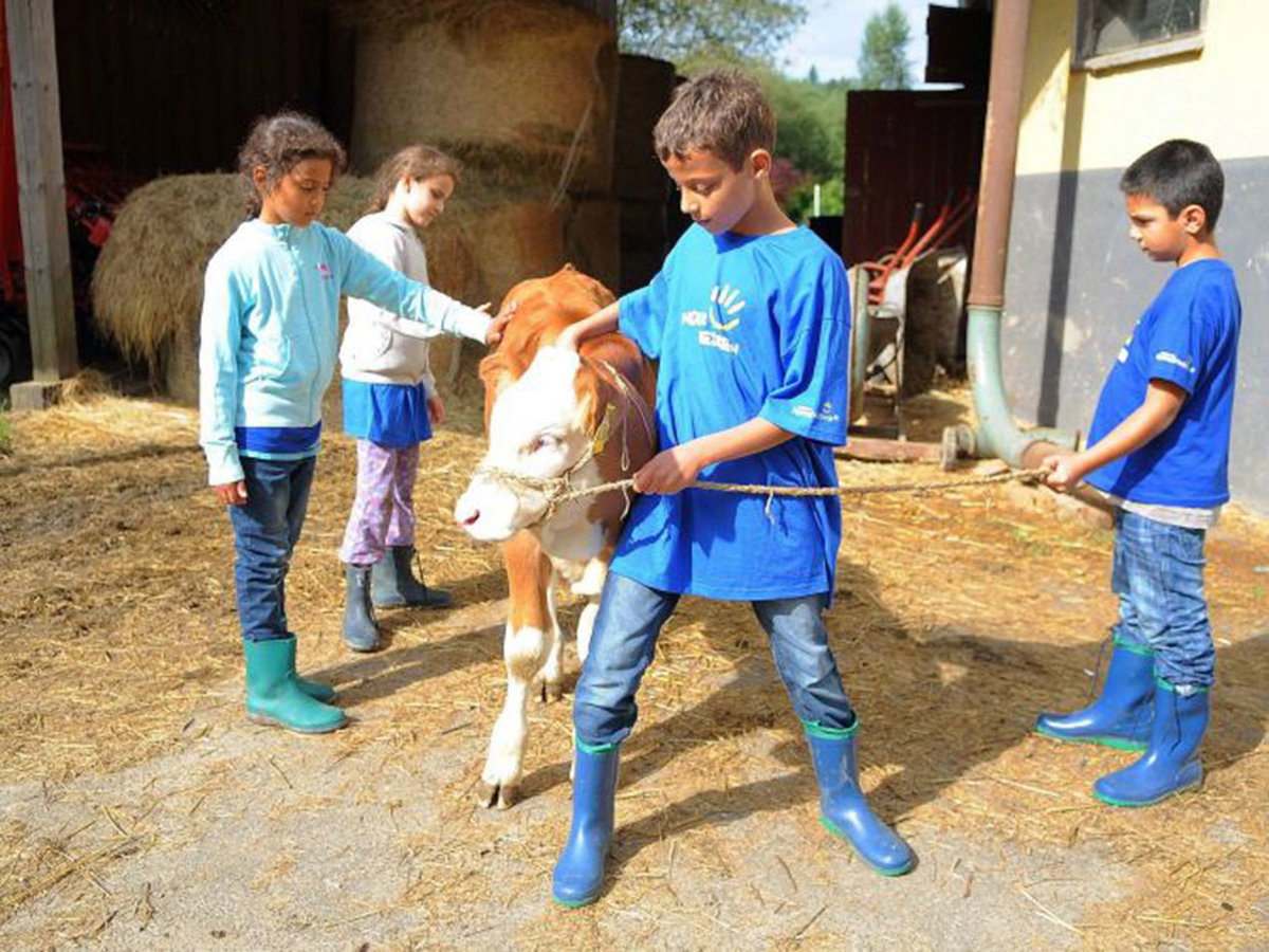Zwei Jungs und zwei Mädchen in Gummistiefeln mit einem Kalb vor einer Scheune
