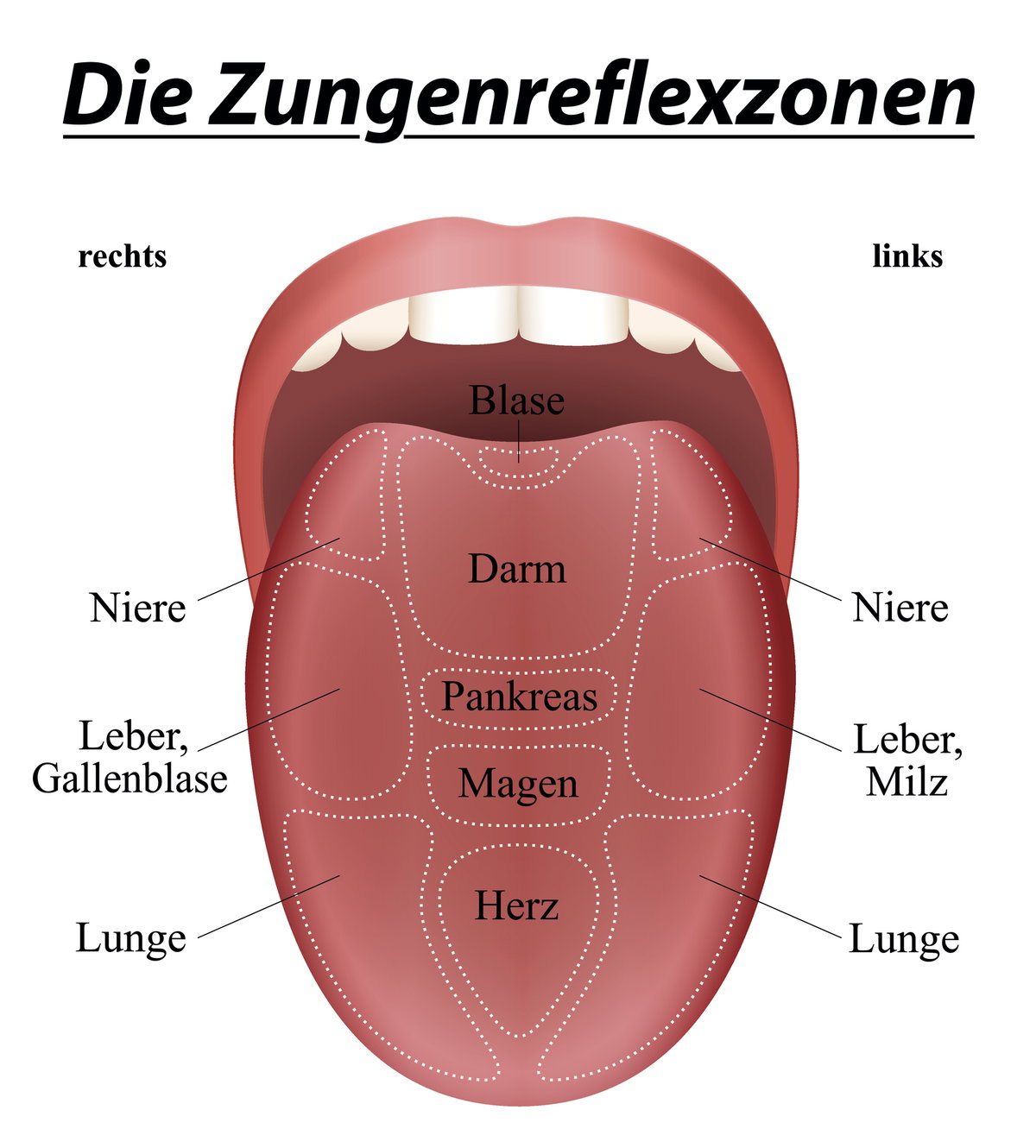 Unsere Zunge gibt Aufschluss über Krankheiten
