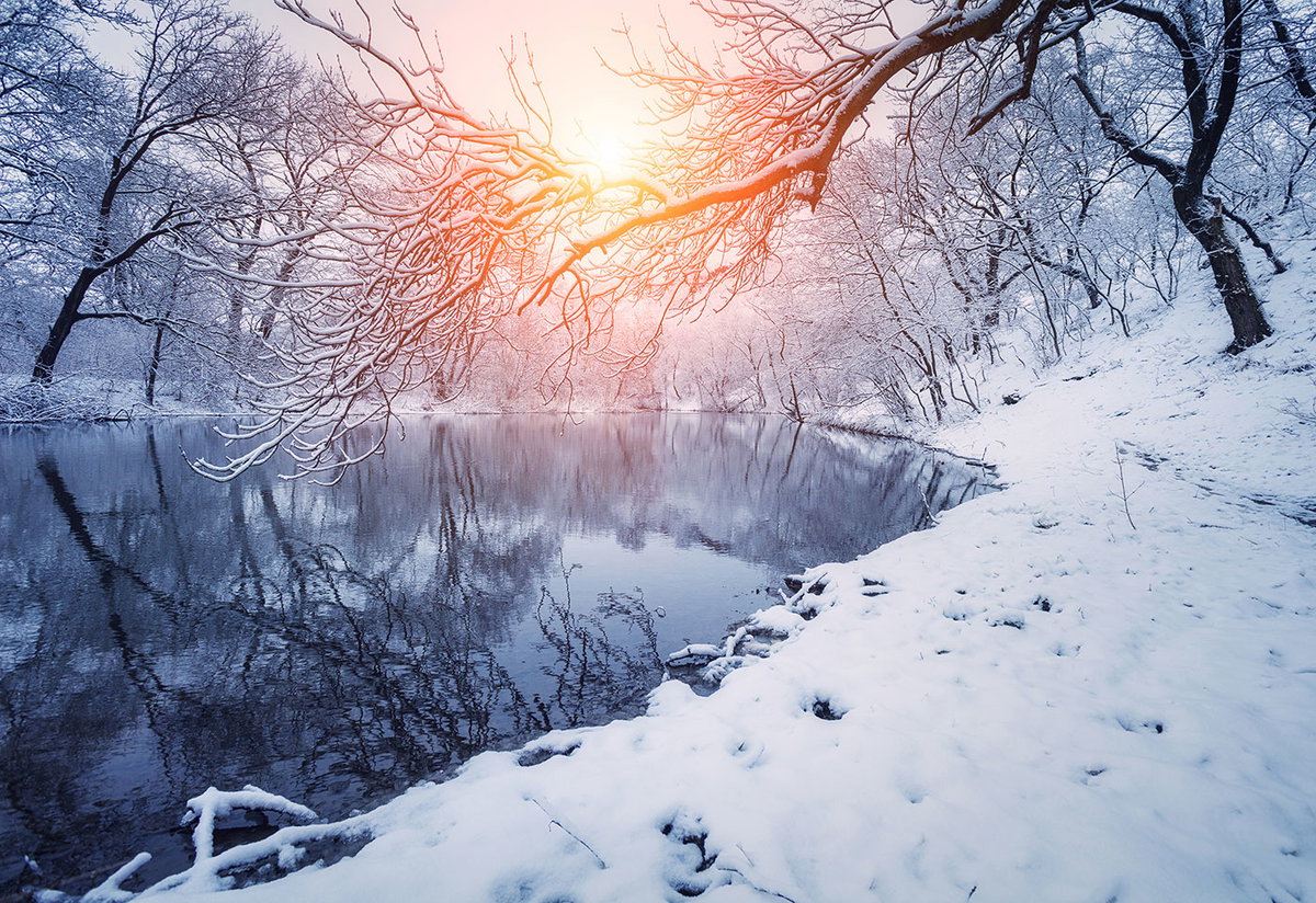 In den Rauhnächten spüren wir die Verbundenheit zur Natur