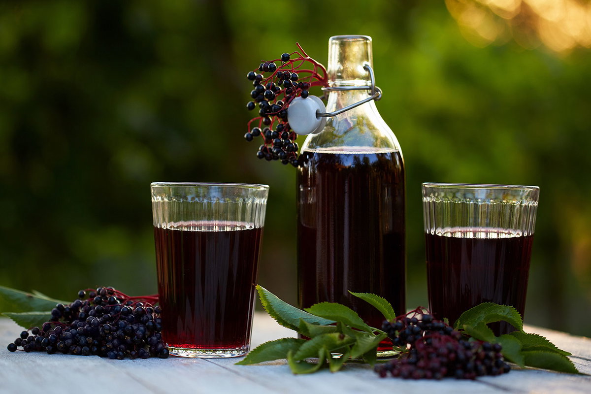Dunkel hält jung: Holundersaft hat ein 14-mal höheres Zellschutzpotenzial als roter Traubensaft.