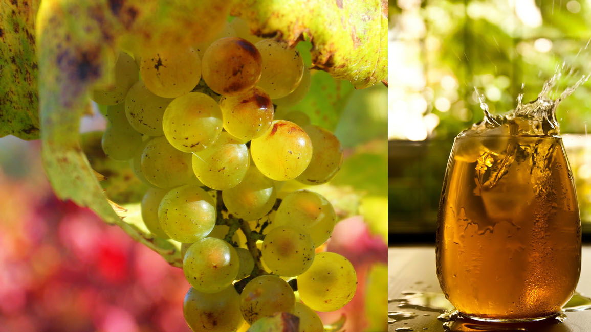 Chłodne orzeźwienie w upalne dni: mrożona herbata Chardonnay