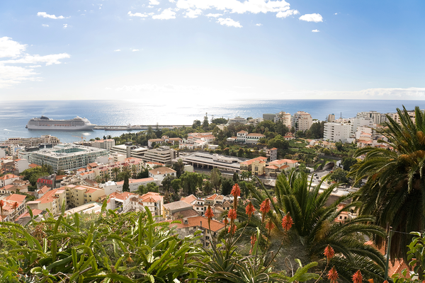 Madeira: Vacation on the flower island in the Atlantic