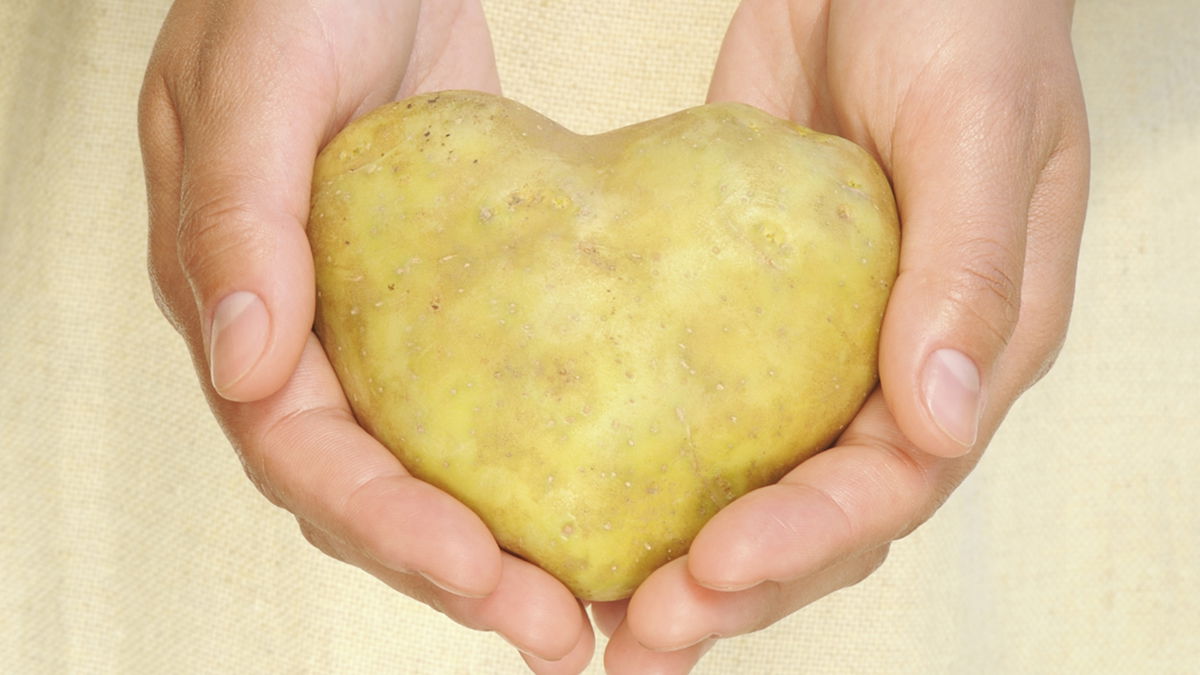 Commodity knowledge: All about potatoes