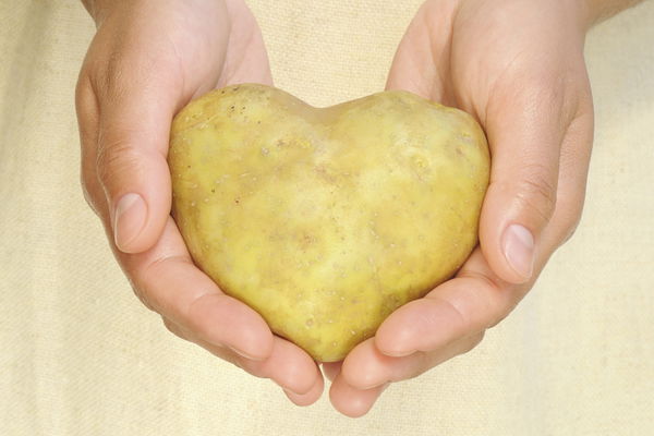 Commodity knowledge: All about potatoes