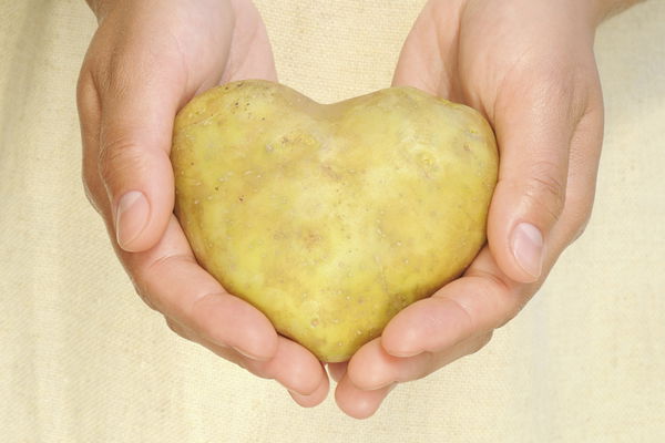 Emtia bilgisi: Patates hakkında her şey