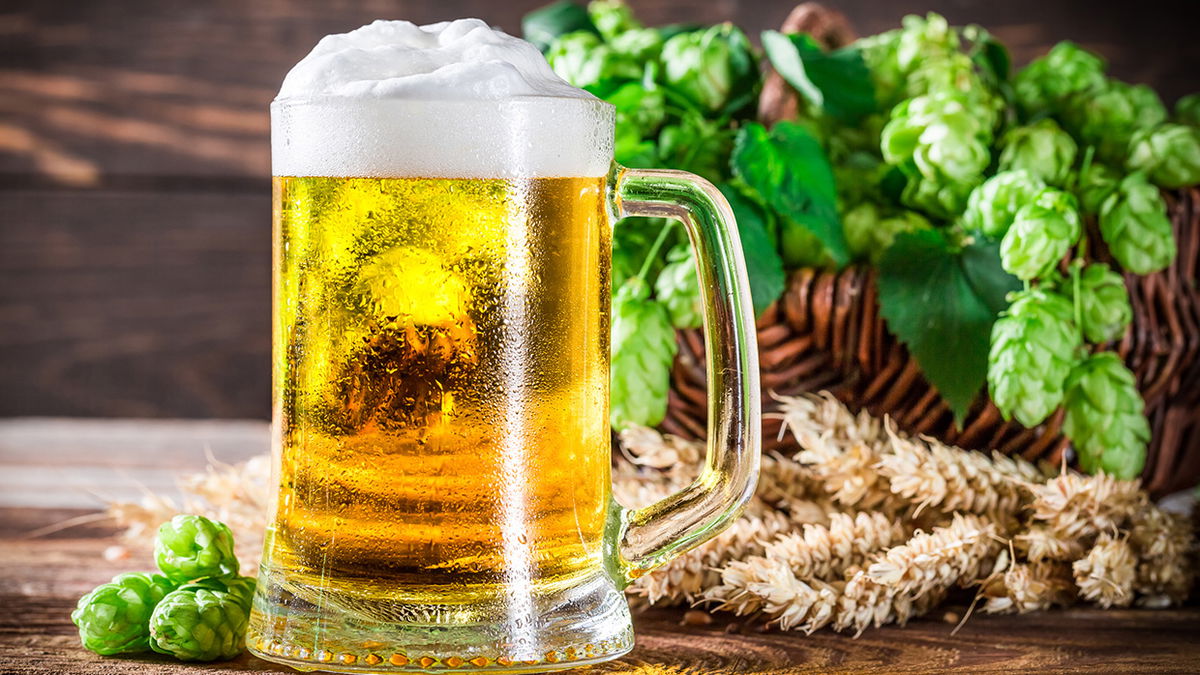 How dangerous is the plant toxin in beer?