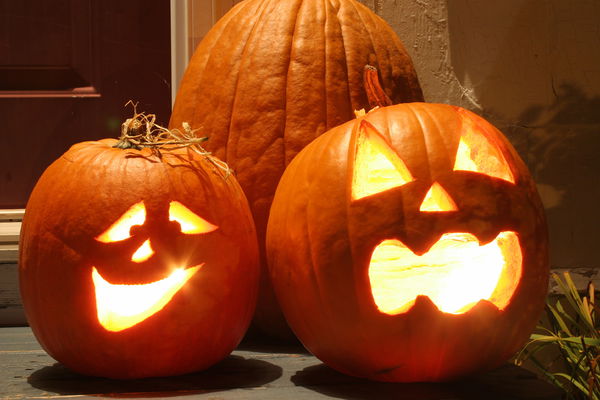 Pumpkin carving: Instructions in four steps for pumpkin faces and co.
