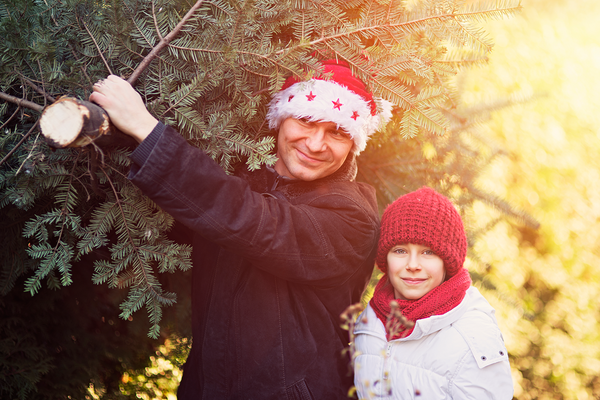 İdeal Noel ağacı
