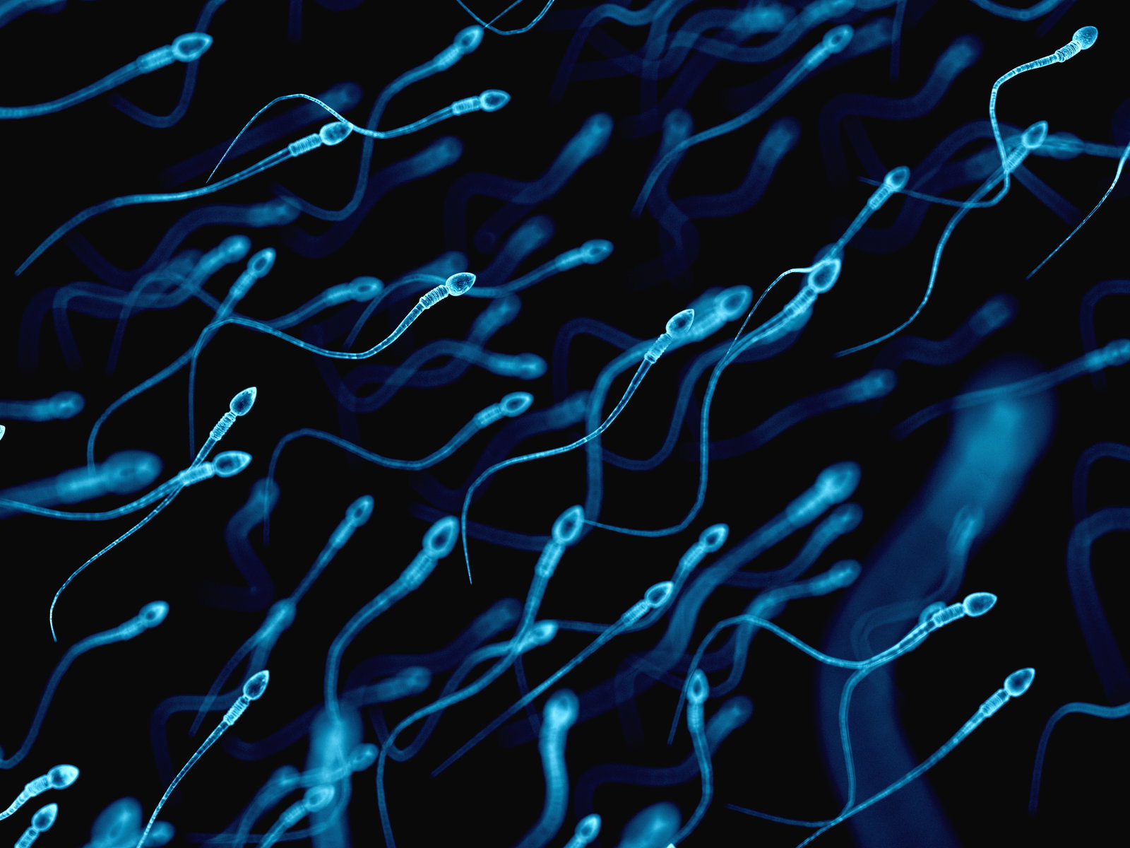 Sperm alerjisi: Seks sizi hasta ettiğinde