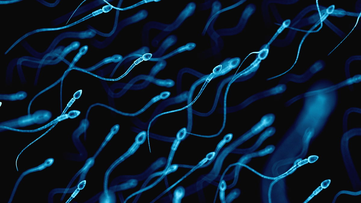 Alergia na spermę: kiedy seks wywołuje chorobę