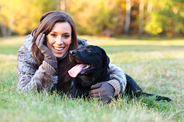 Flört faktörü köpek: Gerçek nedir?