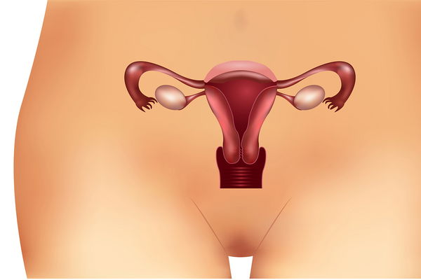Syndrome PCO : symptômes, causes et traitement du trouble hormonal