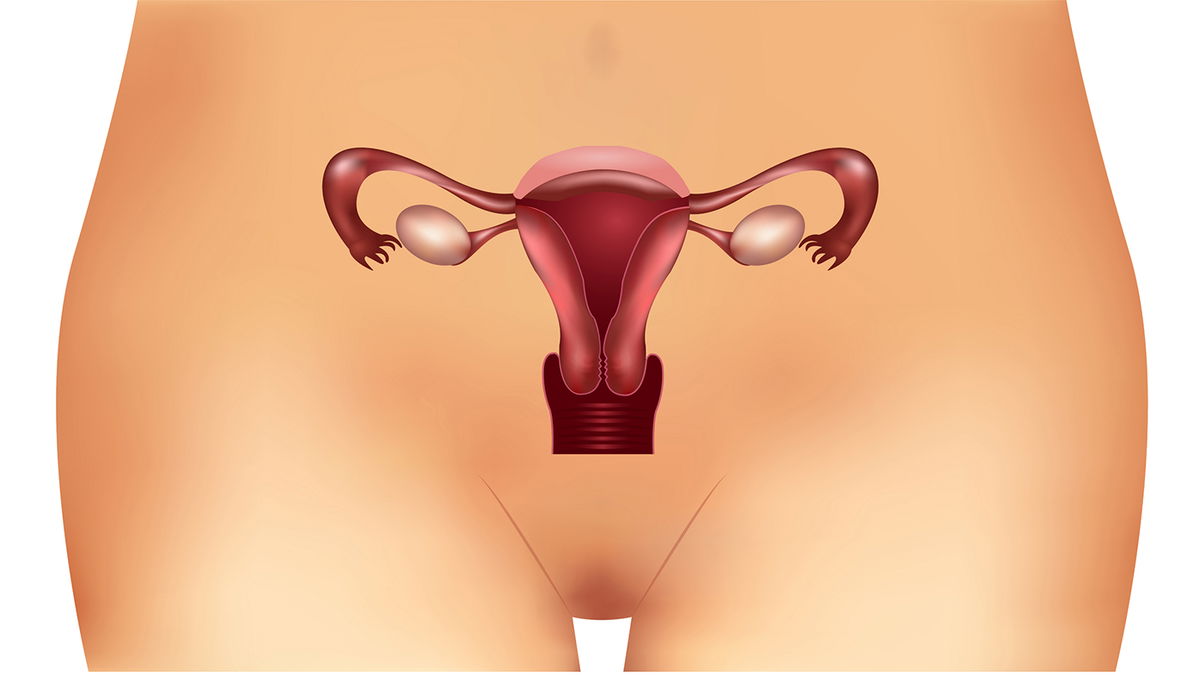 PCO syndrome: symptoms, causes and treatment of the hormonal disorder