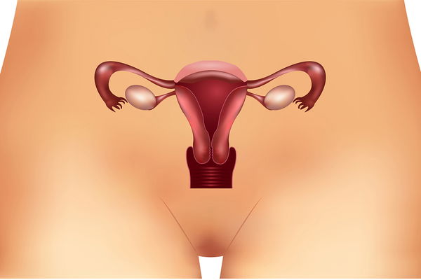Zespół PCO: objawy, przyczyny i leczenie zaburzeń hormonalnych
