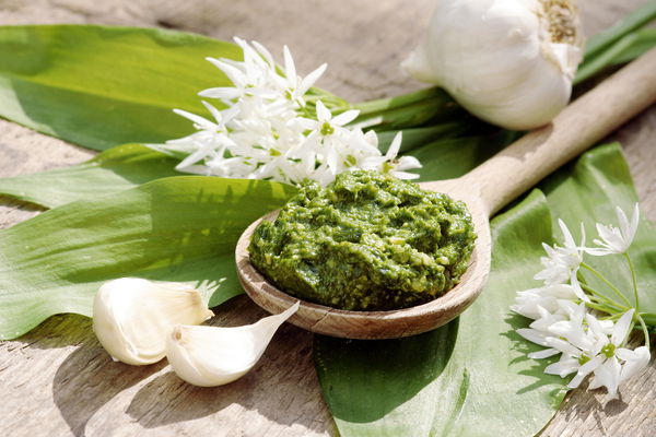 Délicieusement épicé : le pesto de printemps 3x différent