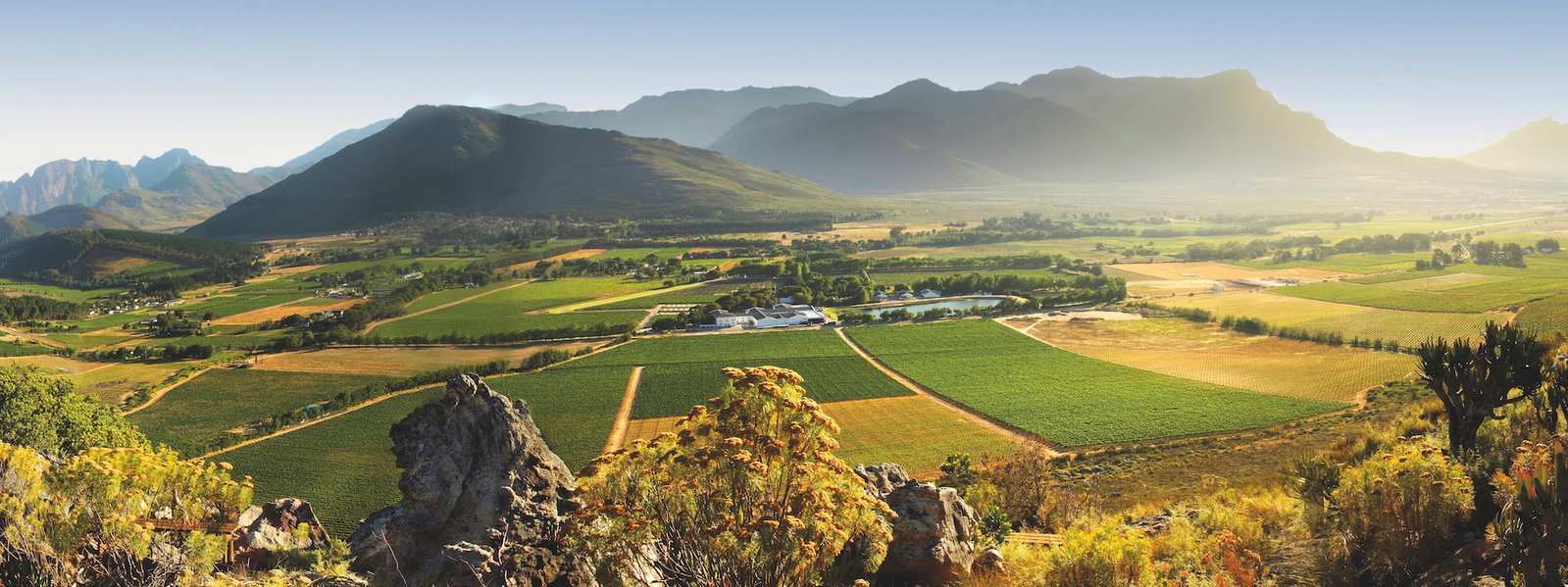 Wine paradise South Africa
