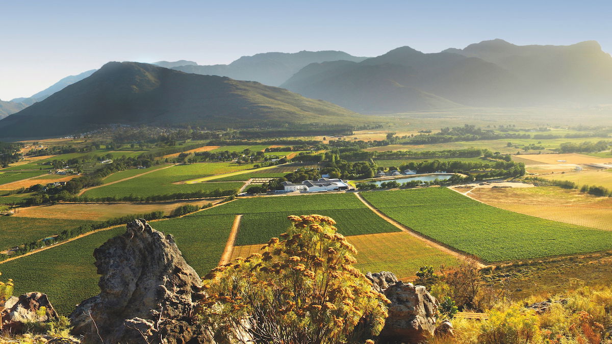Weinparadies Südafrika
