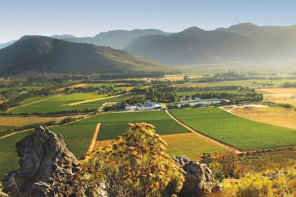 Wine paradise South Africa