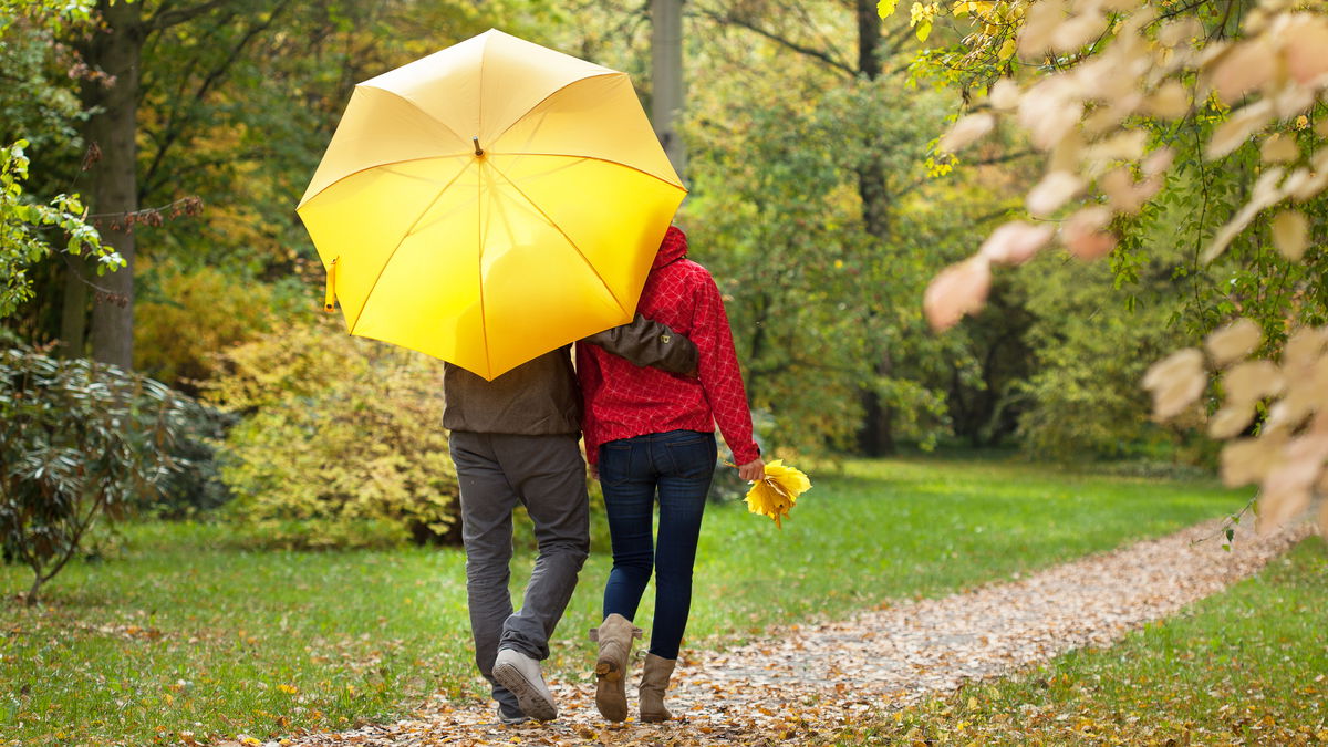 Santé et activité physique : 6 raisons de faire une promenade
