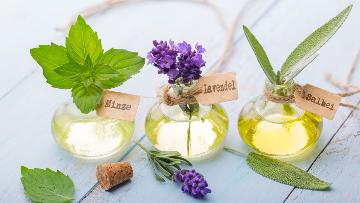 Huiles essentielles : 6 plantes aux vertus curatives