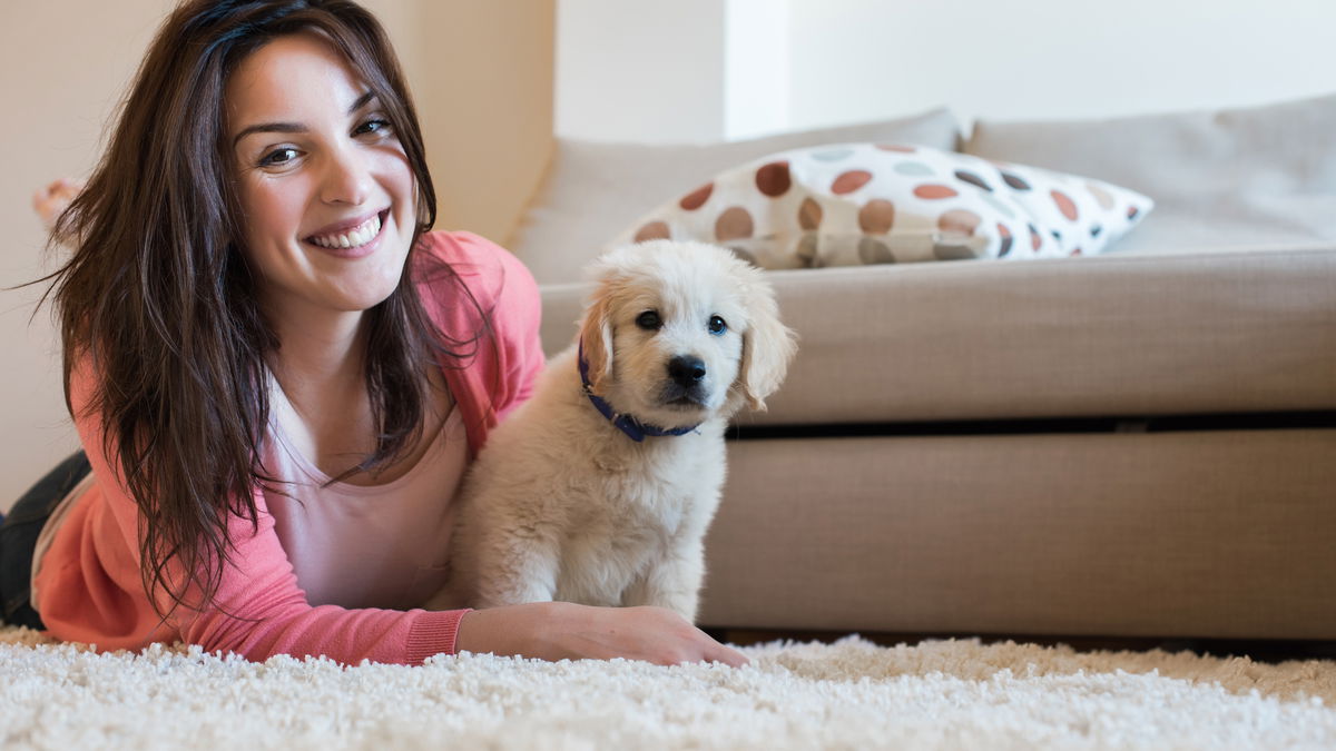 Hundeerziehung: Tipps und Tricks vom Profi