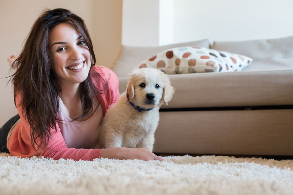 Köpek eğitimi: bir profesyonelden ipuçları ve püf noktaları