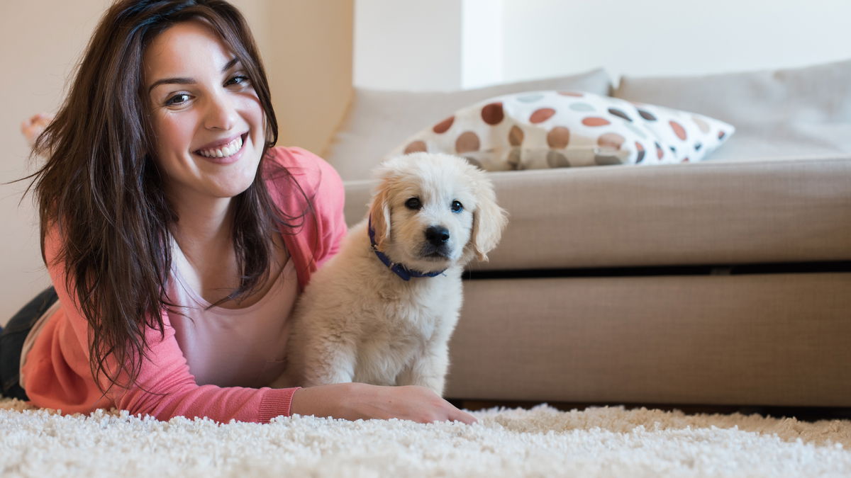 Hundeerziehung: Tipps und Tricks vom Profi