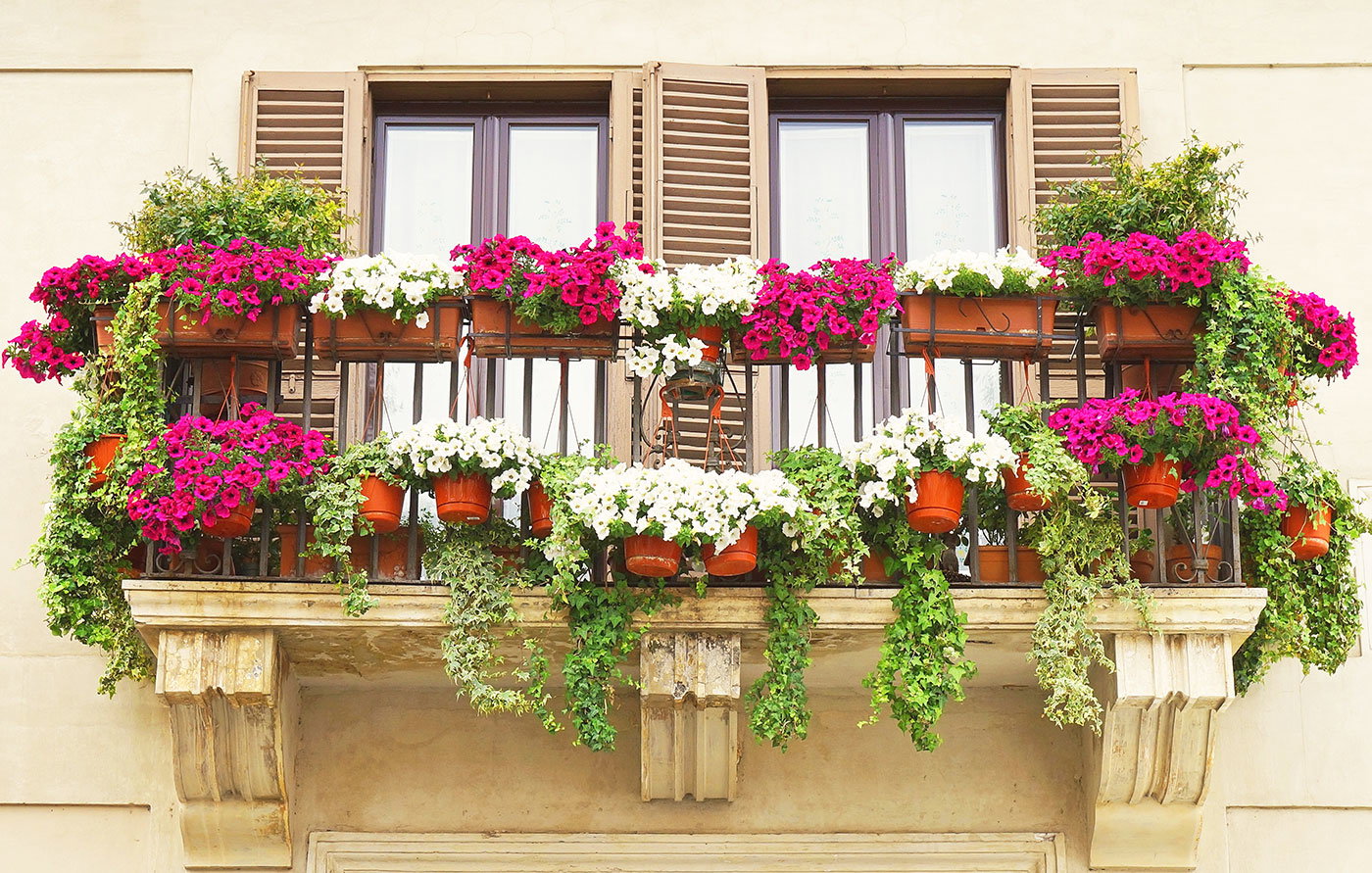 Viva Balkonia: The best south-facing balcony plants