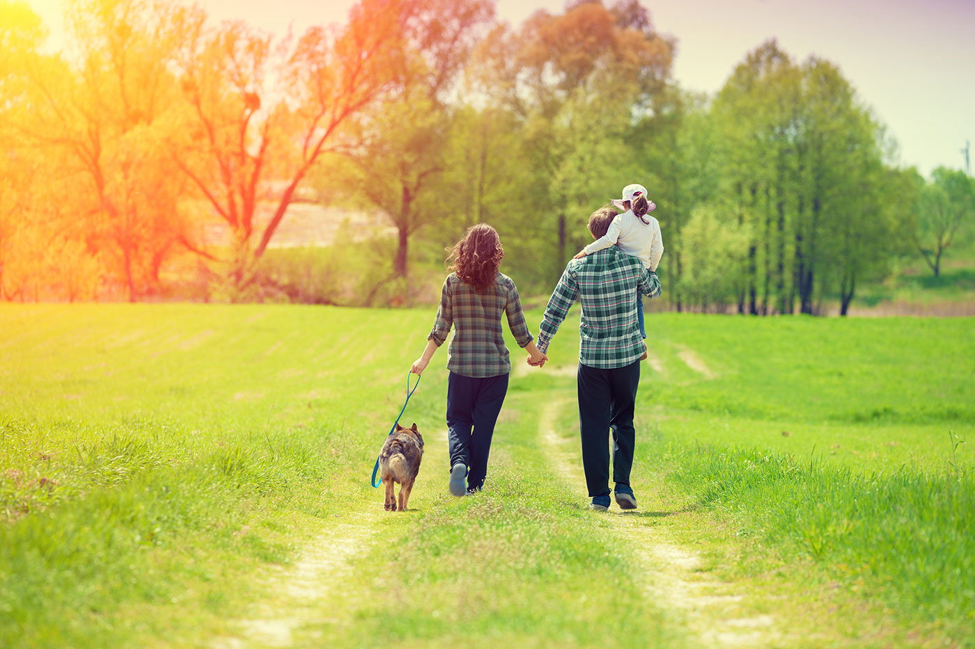 Bloodsucker alert: What diseases do ticks transmit?