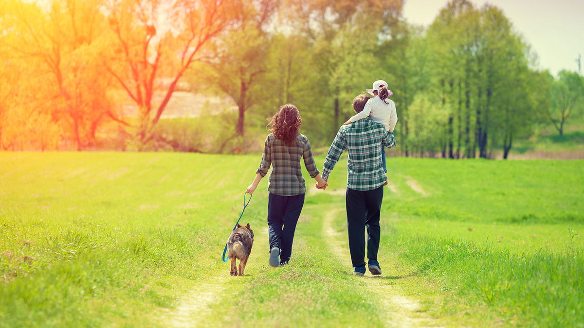 Bloodsucker alert: What diseases do ticks transmit?