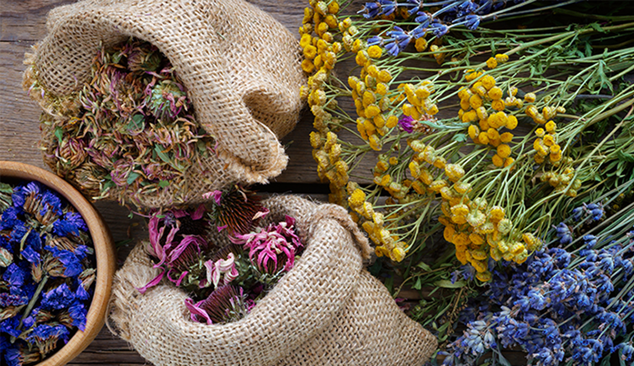Gemmotherapy: Healing with the power of buds